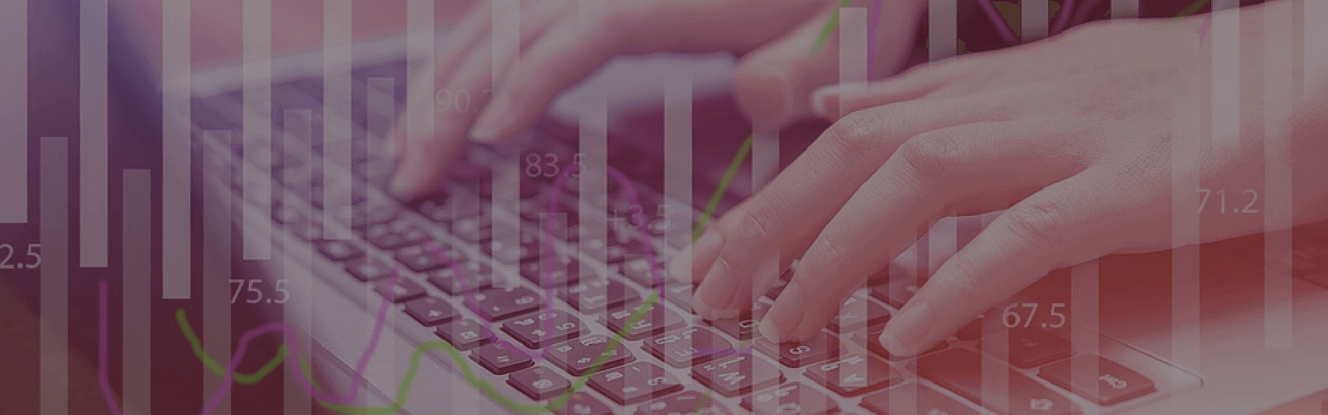 政策性擔保系統