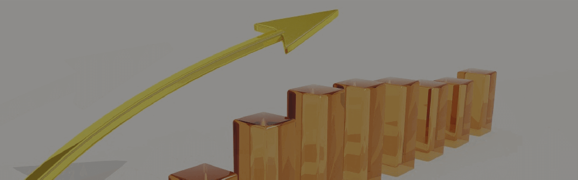 小貸業(yè)務(wù)管理系統(tǒng)