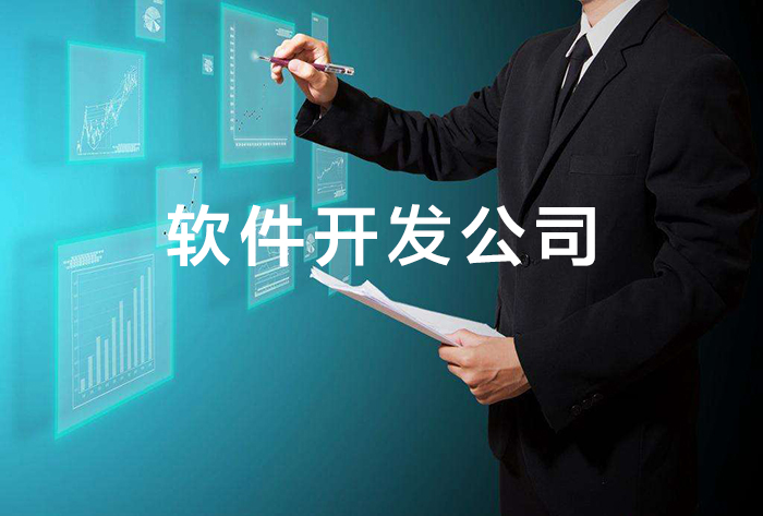 軟件開發公司.jpg