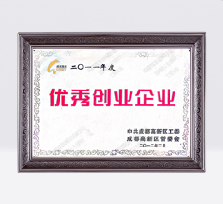 優(yōu)秀創(chuàng)業(yè)企業(yè)