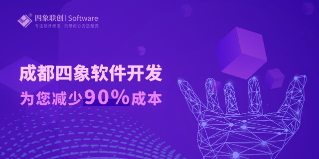 成都軟件開發.png